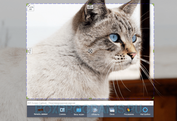 AVS Video Editor русская версия для Windows 10, 7, 8, Xp, Vista